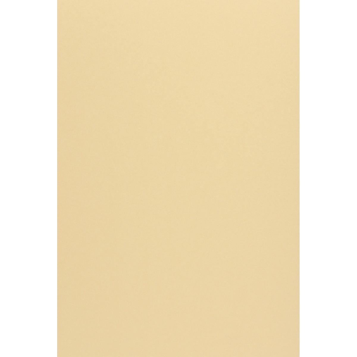 CARTA WOODSTOCK 170g. 70x100 camoscio