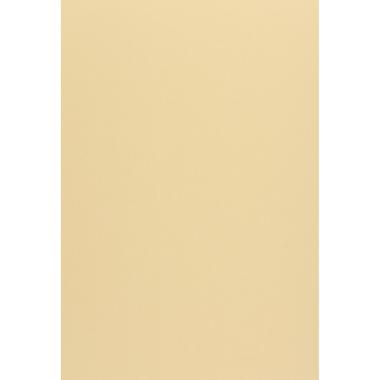 CARTA WOODSTOCK 170g. 70x100 camoscio