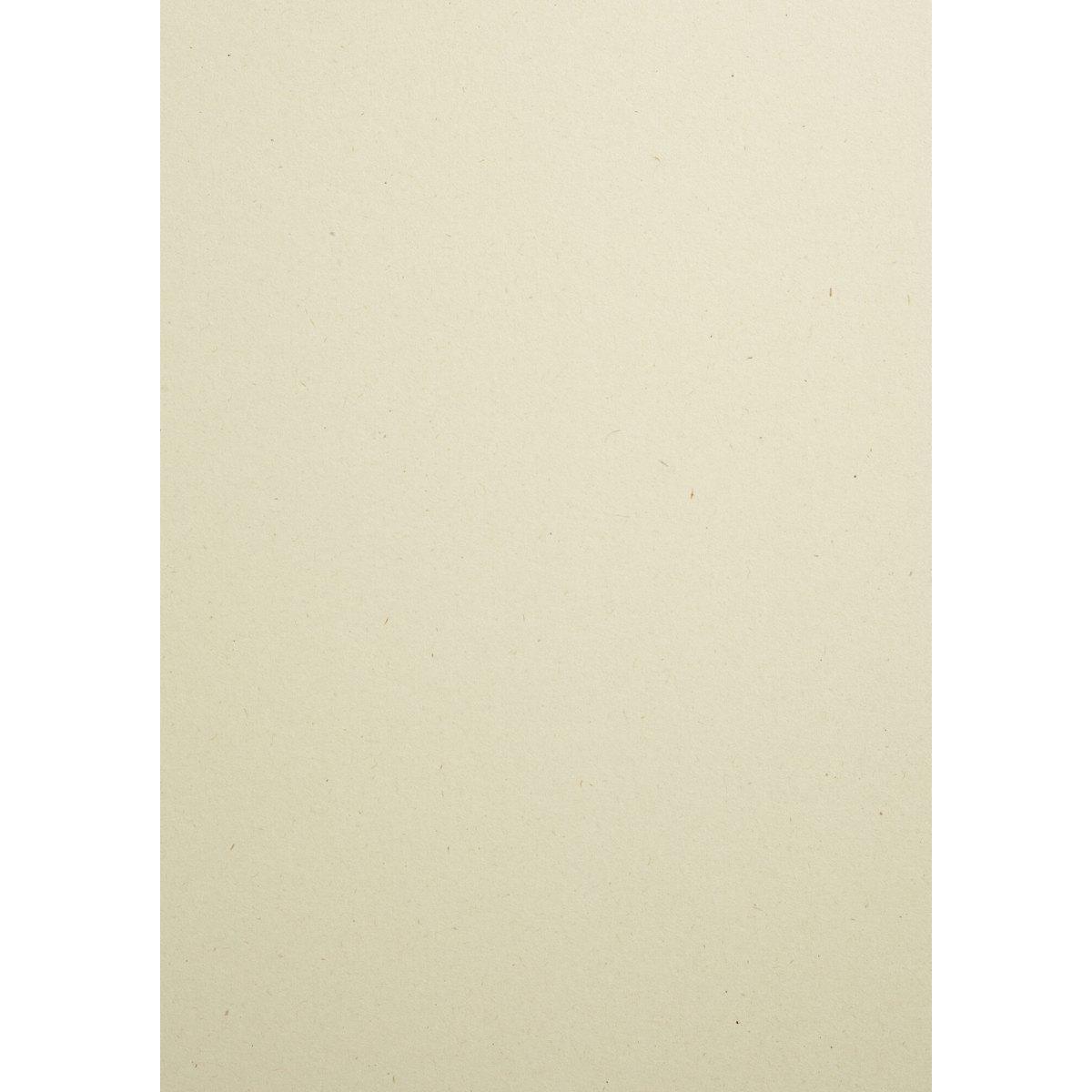 CARTA WOODSTOCK 225g. 70x100 betulla